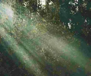 people pleasing how counselling can help